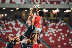 足彩网首页|意甲周四焦点战，维罗纳主场迎战博洛尼亚，进攻战术与比分深度分析