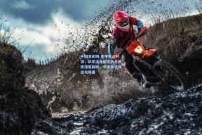 中国足彩网-意甲焦点对决，萨索洛与都灵战术博弈深度解析，贝洛蒂引领进攻风暴