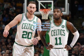 足彩网首页_沃尔夫斯堡主场迎战弗赖堡，埃里克森关键调度，马耶尔破僵局，金特尔霍勒难救主