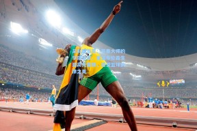 足彩网首页：节奏大师的华丽乐章，重温布伦森生涯高光集锦，感受篮球韵律之美