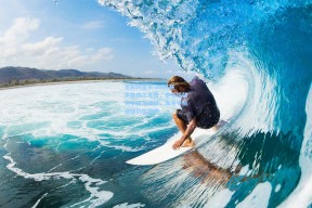 足彩网首页-2026赛季锋线三叉戟，申花组装完毕投入实战，海港寻枪进程仍在继续