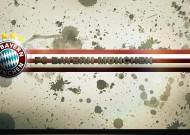 中国足彩网-葡萄牙中场核心维加，理性解析新一代足球智慧的崛起与挑战