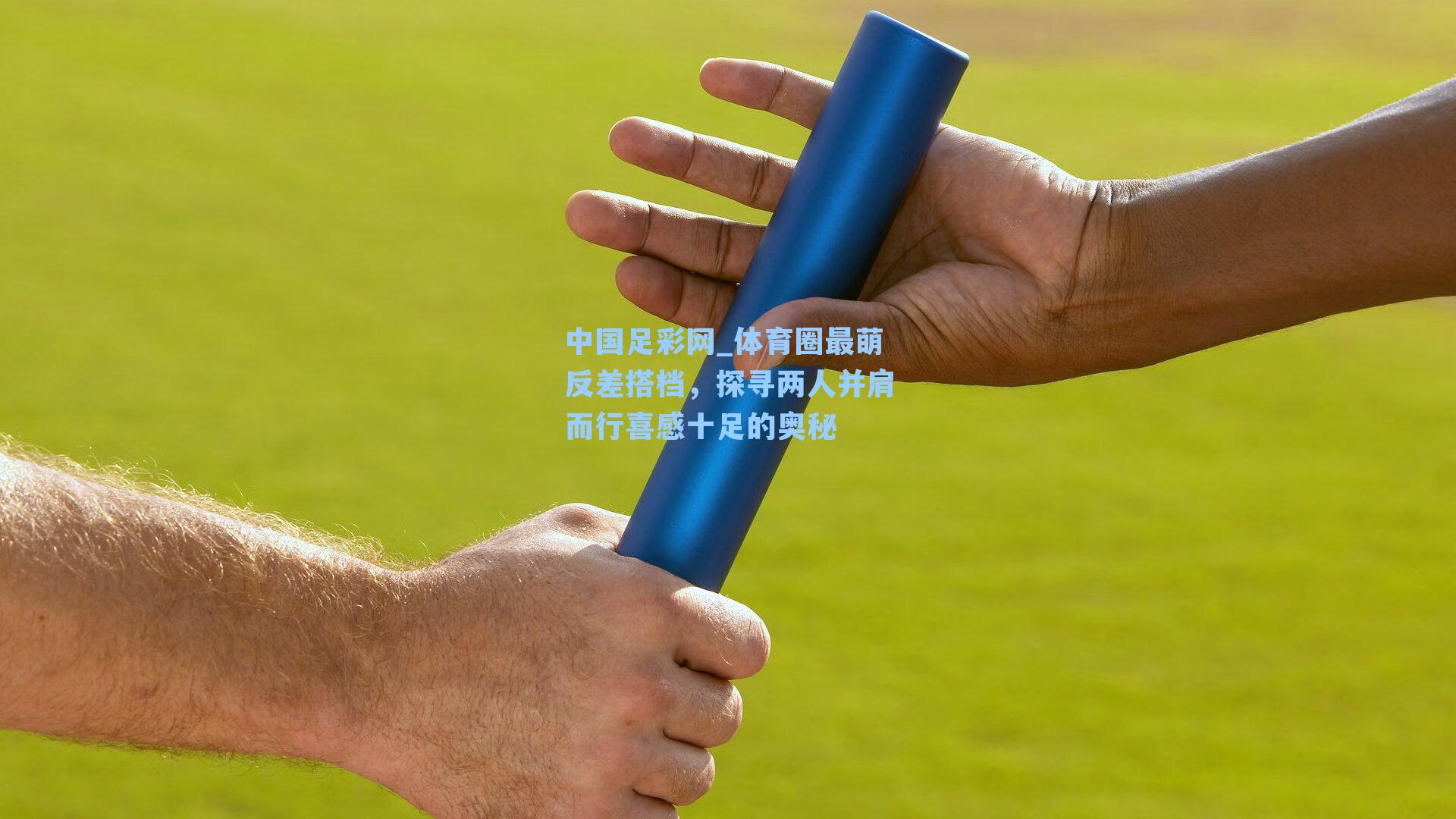 体育圈最萌反差搭档，探寻两人并肩而行喜感十足的奥秘