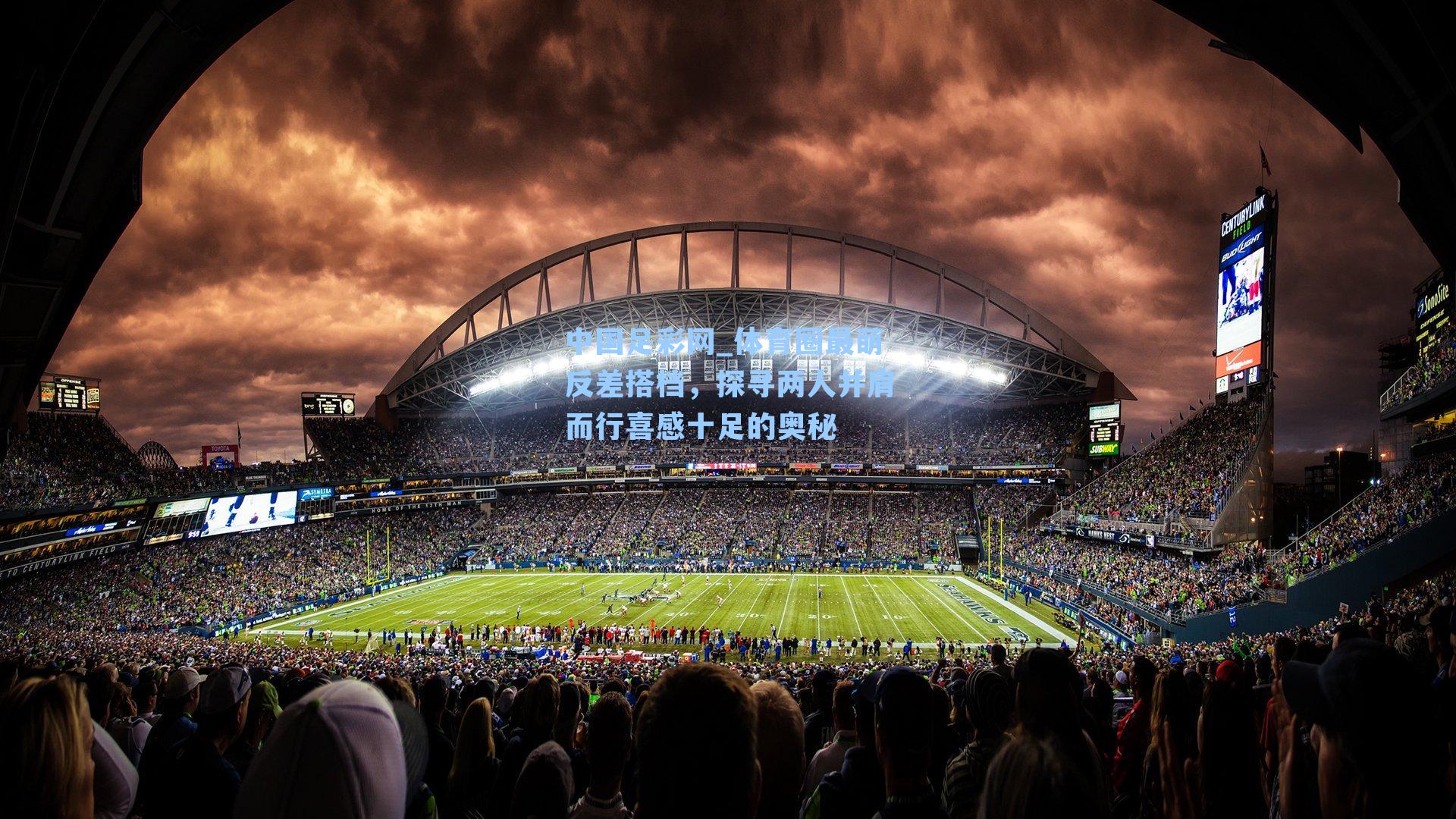 体育圈最萌反差搭档，探寻两人并肩而行喜感十足的奥秘