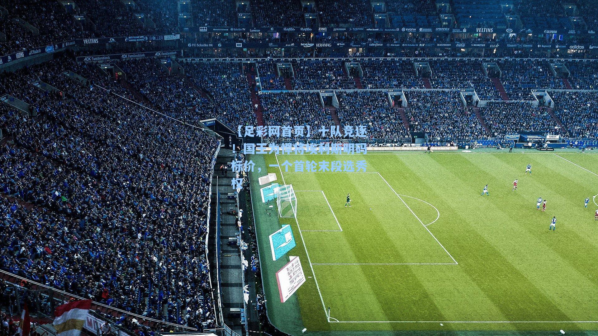 十队竞逐！国王为悍将埃利斯明码标价，一个首轮末段选秀权